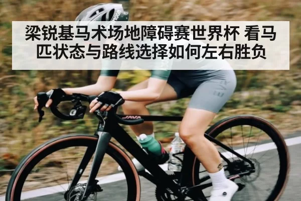 梁锐基马术场地障碍赛世界杯 看马匹状态与路线选择如何左右胜负